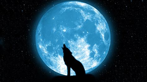 wolf howling on the moon Wallpapers HD / Desktop and Mobile Backgrounds