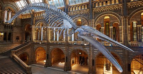 Natural History Museum London World-Renowned Museum