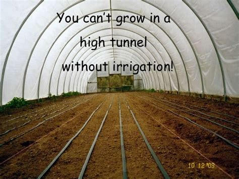 High tunnel 3 drip irrigation