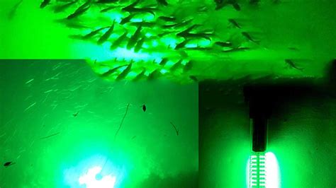 Best Underwater Fishing Lights & Portable Fishing Lights