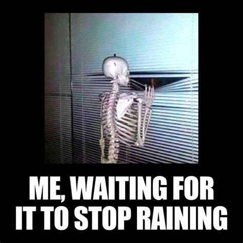 waiting for rain to stop meme Rain Jokes, Rain Humor, Rain Meme, Work ...