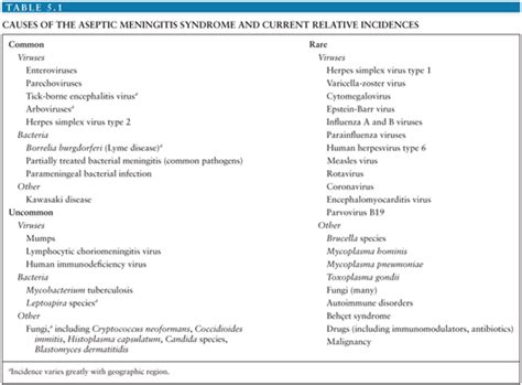 Viral Meningitis and Aseptic Meningitis Syndrome | Oncohema Key