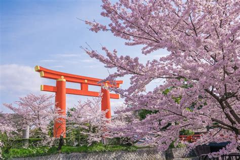 The Ten Best Places to See Cherry Blossom in Kyoto | Work in Japan for ...