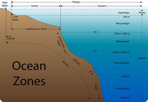 6. 10: Aquatic Biomes - Biology LibreTexts