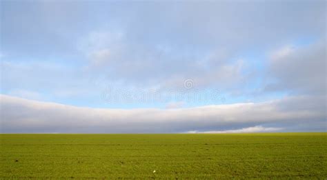 Simple nature background stock image. Image of country - 49832633