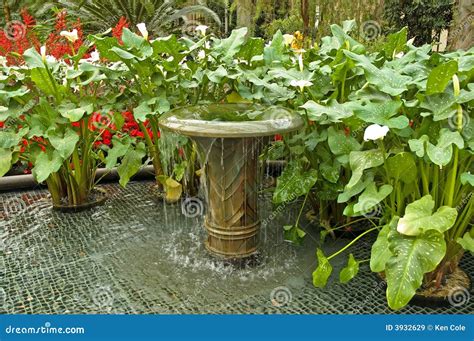 Water fountain and plants stock image. Image of gardens - 3932629