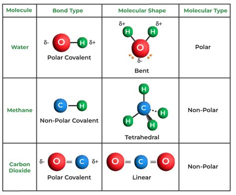 What Are The 4 Types Of Bonds: A Comprehensive Guide