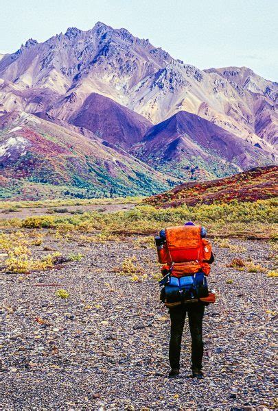 Hiking in Denali National Park - Denali Guidebook