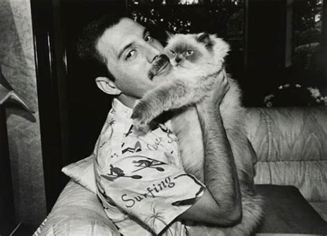 13 Rare Photos Of Freddie Mercury And His Cats