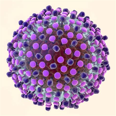 Hepatitis C Symptoms, Treatment, Causes, What is Hepatitis C