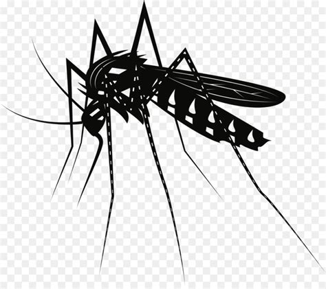 Download High Quality mosquito clipart insect Transparent PNG Images ...