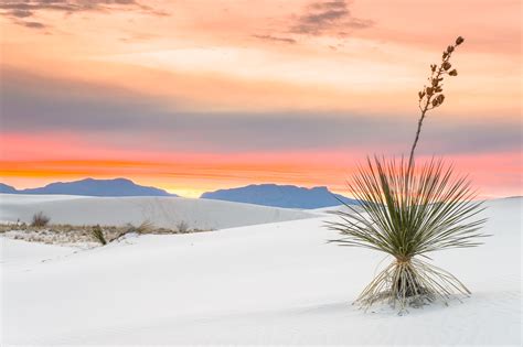 Sunset at White Sands National Monument | New Mexico | Deserts New ...