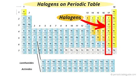 Periodic Table Labeled Halogens | Awesome Home