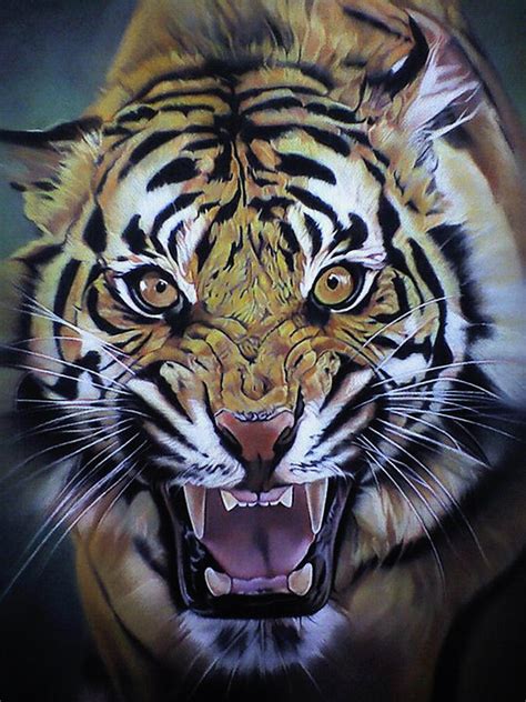 Tiger Roar Pastel by Rod Alcantara - Pixels