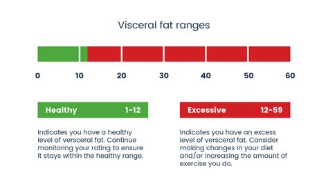 Visceral Fat - What is Visceral Fat and why is it Important? | TANITA ...