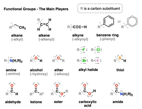 Ester Functional Group Examples