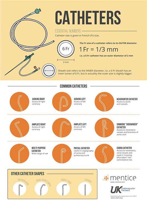 Understanding Sheaths and Catheters | Mentice Blog