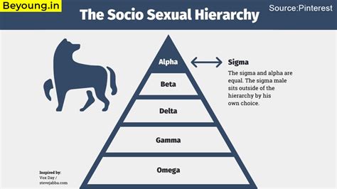 Alpha Beta Sigma Male Chart