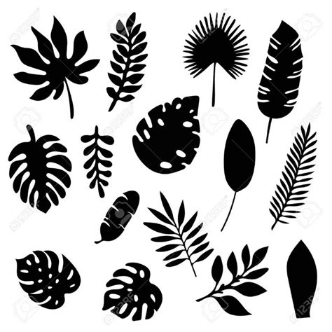 Palm leaves silhouettes set isolated on white background. Tropical leaf ...