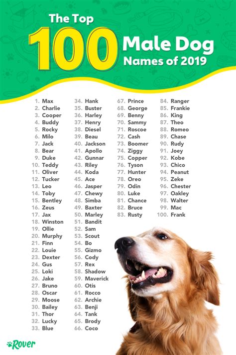 Pin by Amy Rose on Animals | Dog names, Dog names male, Puppy names