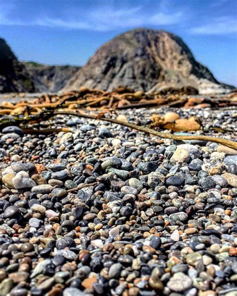 Agate beach | Oregon coast, Natural landmarks, Beach