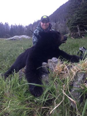 Alaska Bear Hunting | Inexpensive Bear Hunts Alaska