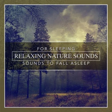 Hours of Relaxing Nature Sounds for Sleeping: Sounds to Fall Asleep ...