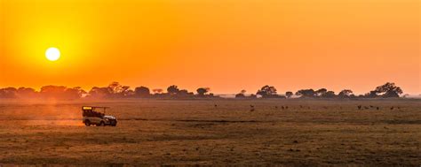 Luxury African Safari Tours | Safari Trips | GeoEx