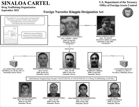 Sinaloa Cartel Chart