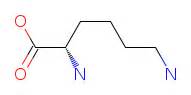 Lysine - Lys - structure, benefits, properties, function