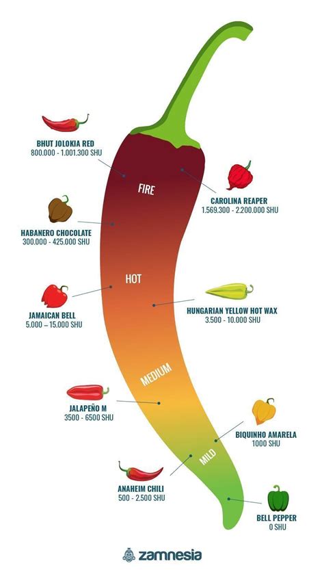 Hot Peppers And The Scoville Scale - Zamnesia