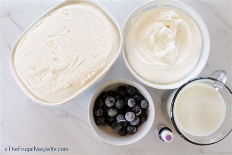 Grimace Shake Recipe - The Frugal Navy Wife