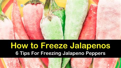 6 Amazing Ways to Freeze Jalapeno Peppers