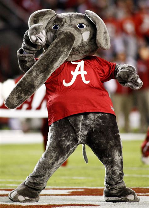 college mascots 171 cbs philly | Crimson tide mascot, Alabama crimson ...