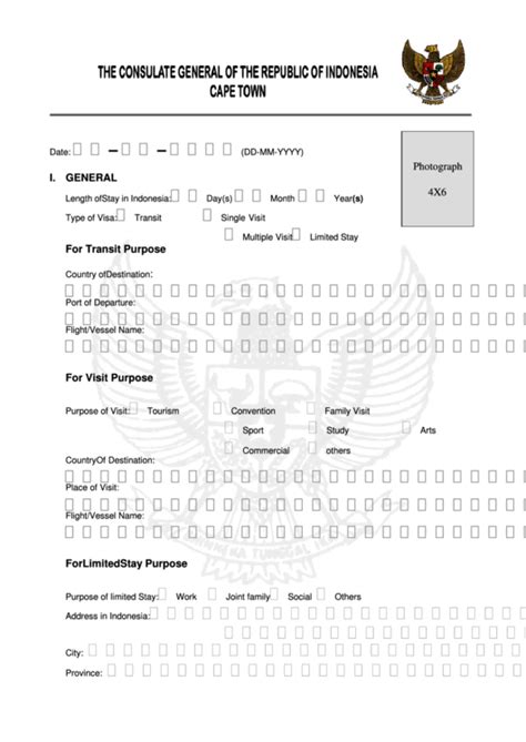 Indonesia Visa Application Form printable pdf download