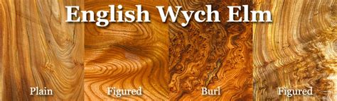 English Wych Elm Lumber – Hearne Hardwoods