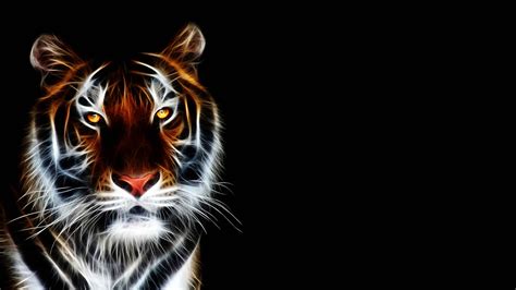 🔥 Free Download White Tiger Wallpaper Image Photos Pictures Background ...