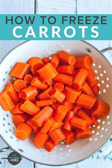 How to Freeze Carrots - Sustainable Cooks