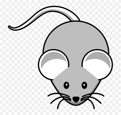 Whiskers Clipart Mouse Animal - Mouse Clipart - Free Transparent PNG ...