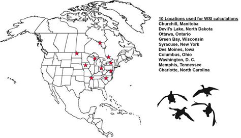 Duck Migration Flyway Map