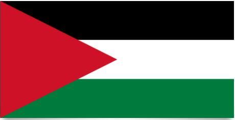 Palestine Flag and Meaning – Countryaah.com