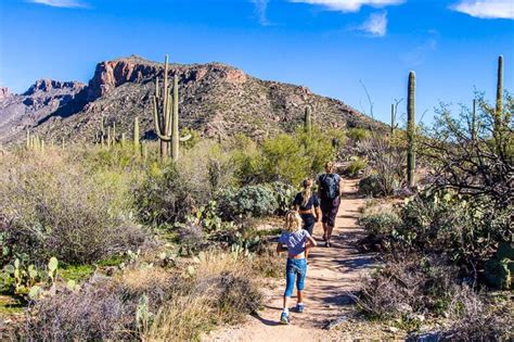 A Day In Sabino Canyon Recreation Area, Tucson