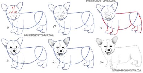 How To Draw A Realistic Dog Easy Step By Step / How to draw a realistic ...