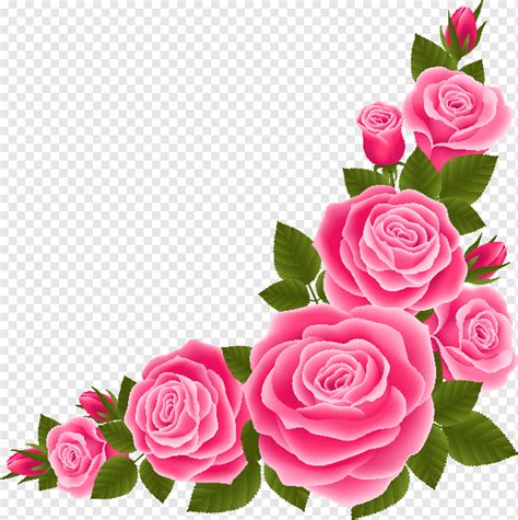 Flower Border Design Png Hd | Best Flower Site