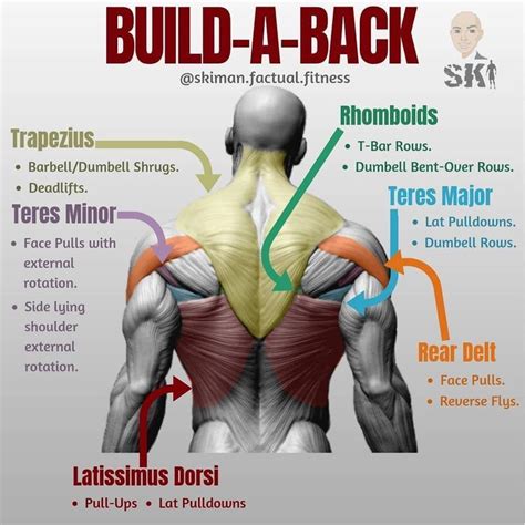 Exercises For Middle And Lower Trapezius - Exercise Poster