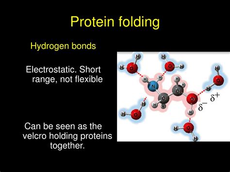 PPT - Protein folding PowerPoint Presentation, free download - ID:4463362