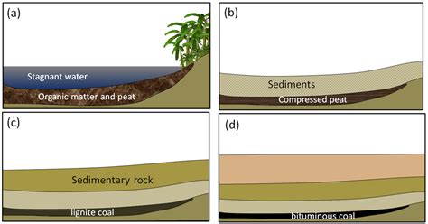 20.3 Fossil Fuels – Physical Geology