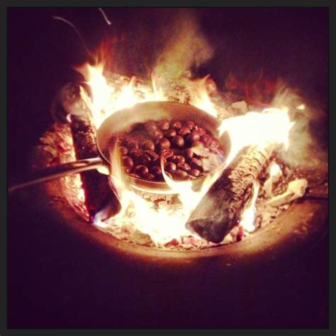 Hills Family Life: Chestnuts Roasting On An Open Fire!