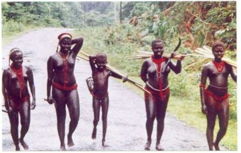 The Jarawa Tribe of Andaman Island, India