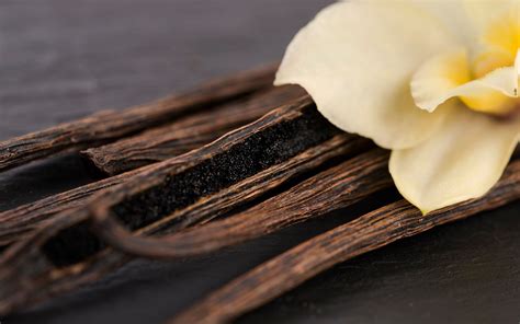 Faster, cheaper, tastier: Vanilla guru wants to make the spice nicer ...